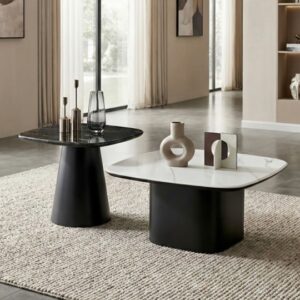 modern minimalist 2 piece coffee table set – item #t18 800